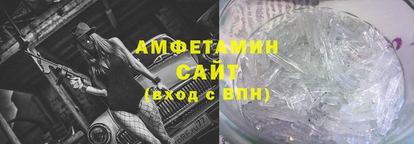 индика Богородск