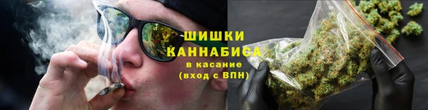 индика Богородск