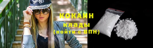 индика Богородск