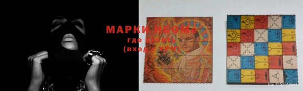 индика Богородск