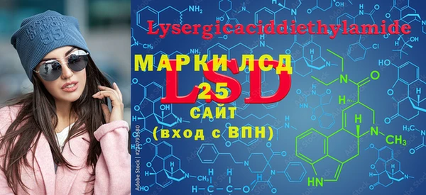 индика Богородск