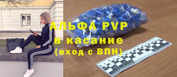 индика Богородск