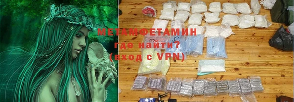 индика Богородск