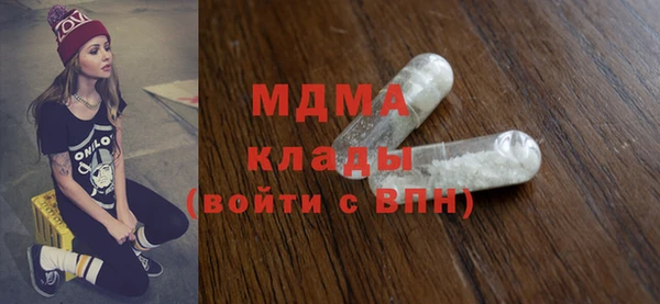 индика Богородск