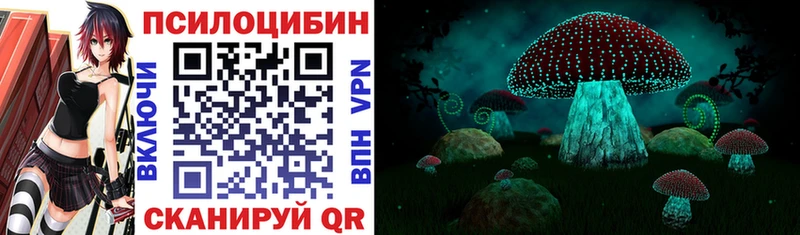 KRAKEN ТОР  Дмитровск  Галлюциногенные грибы Psilocybine cubensis 